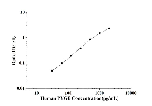 Human PYGB(Glycogen Phosphorylase, Brain) ELISA Kit technical data image - Reed Biotech