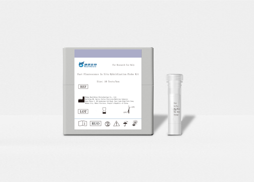 1p36.33 FISH Probe Reagent catalogue image