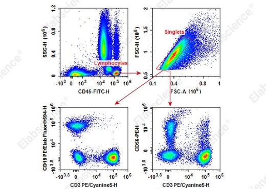 Human peripheral blood lymphocytes are stained with Anti-Human CD45-FITC/CD3-PE/Cyanine 5/CD56/NCAM-PE/CD19-PE/Elab Fluor<sup>®</sup>594 Cocktail