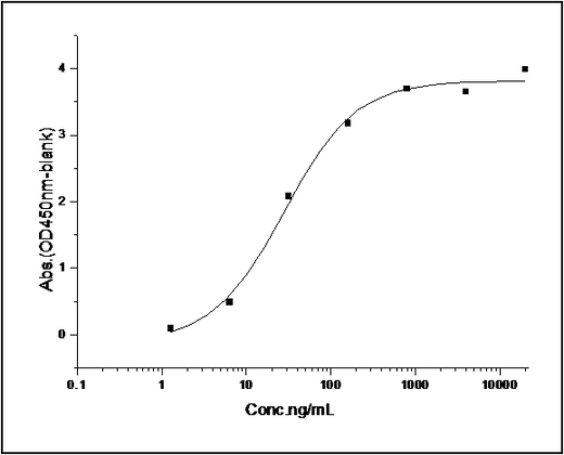 Immobilized human GST-SerpinB2 at 10 μg/ml (100 μl/well) can bind biotinylated human uPA-His (Cat: PKSH031415), The EC<sub>50</sub> of biotinylated human uPA-His (Cat: PKSH031415) is 10.24-23.88 ng/ml.