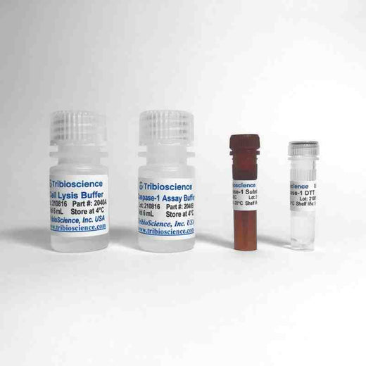 Caspase-1 Colorimetric Assay Kit
