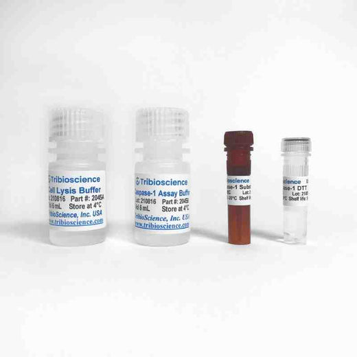 Caspase-1 Fluorometric Assay Kit