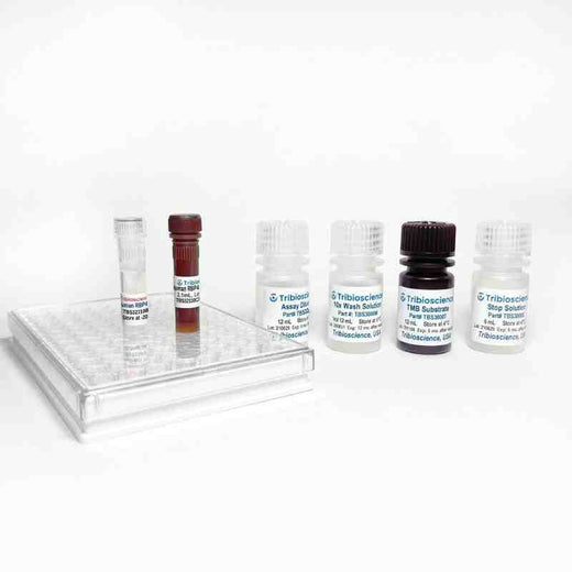 Human RBP4 ELISA One-Step Kit