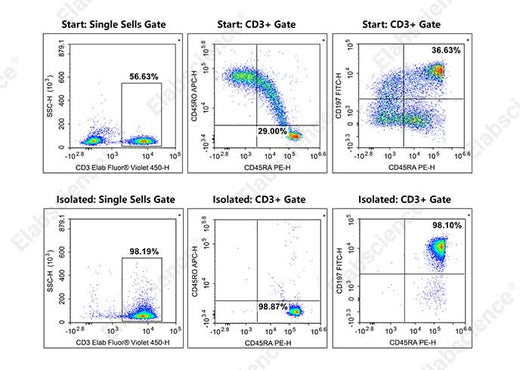 In the above example, the purities of human naïve pan T cells (CD3+CD45RA+CD45RO-CD197+) in normal human peripheral blood mononuclear cell samples was 6.0% before sorting and 95.2% after sorting.