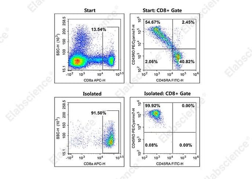 As shown in the figure above, flow cytometric analysis of Memory CD8+ T cell purity before and after sorting revealed proportions of 7.4% and 91.4%, respectively.