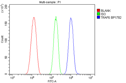 Anti-TRAF6 Antibody Picoband® Boster Bio