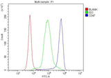 Anti-CD47 Antibody Picoband® Boster Bio
