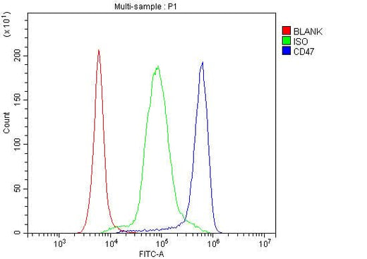 Anti-CD47 Antibody Picoband® Boster Bio