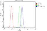 Anti-FLCN Picoband® Antibody Boster Bio