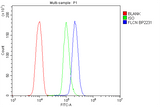Anti-FLCN Picoband® Antibody Boster Bio