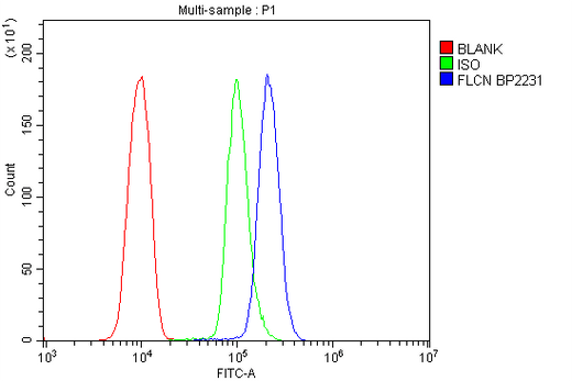 Anti-FLCN Picoband® Antibody Boster Bio