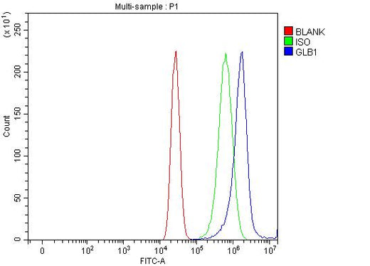 Anti-GLB1/Beta-galactosidase Antibody Picoband® Boster Bio