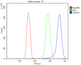Anti-H Cadherin/CDH13 Antibody Picoband® Boster Bio