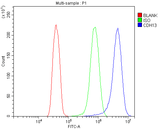 Anti-H Cadherin/CDH13 Antibody Picoband® Boster Bio