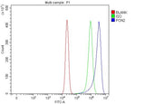 Anti-PON2 Antibody Picoband® Boster Bio