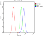 Anti-EHD1 Antibody Picoband® Boster Bio