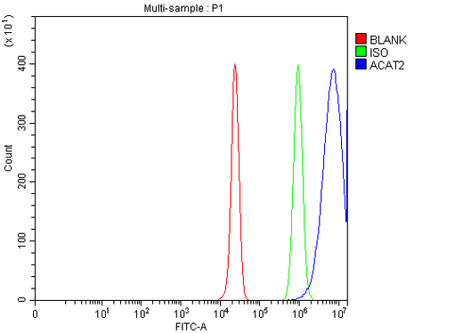Anti-ACAT2 Antibody Picoband® Boster Bio