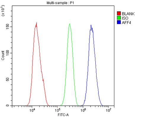 Anti-AFF4 Antibody Picoband® Boster Bio