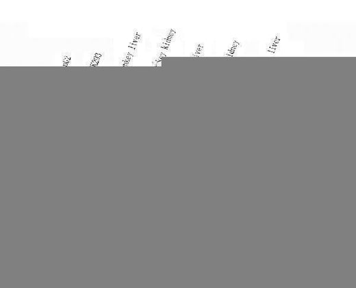 Anti-ALDH1L1 Antibody Picoband® Boster Bio