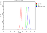 Anti-PASK Antibody Boster Bio