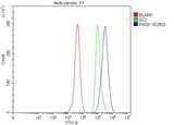Anti-PASK Antibody Boster Bio