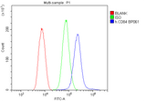Anti-CD84 Antibody Boster Bio