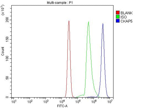 Anti-ch TOG/CKAP5 Antibody Picoband® Boster Bio