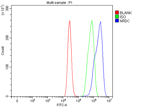 Anti-NRD1/NRDC Antibody Picoband® Boster Bio