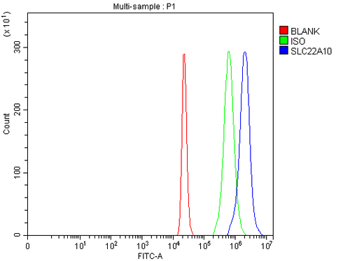 Anti-SLC22A10 Antibody Picoband® Boster Bio