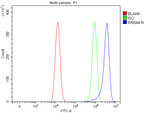 Anti-RAB44 Antibody Picoband® Boster Bio