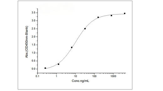 Immobilized Recombinant Human IL13RA2 / IL13R Protein (His & Fc Tag) (Cat: PKSH031658) at 1 μg/mL (100 μL/well) can bind Anti- IL-13 R alpha 2/IL13RA2 antibody, human IgG1, the EC<sub>50</sub> is 4.5-14.0 ng/mL.