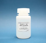 RIPA Lysis Buffer Boster Bio