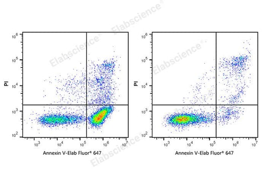 Annexin V-Elab Fluor® 647/PI Apoptosis Kit - ABMIUM
