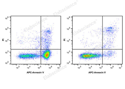 Annexin V-APC/PI Apoptosis Kit - ABMIUM