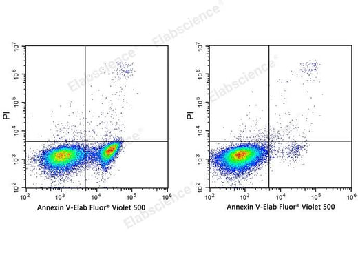 Annexin V-Elab Fluor® Violet 500/PI Apoptosis Kit - ABMIUM