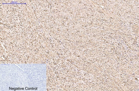 BT LAB manufacturer product image