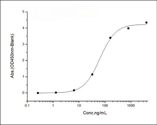 Immobilized SARS-CoV-2 B.1.1.529 (Omicron) Spike RBD Protein (mFc Tag)(Cat: PKSV030474) at 2 μg/mL (100 μL/well) can bind ACE2 Protein, Human, Recombinant (His Tag), HPLC-verified (Cat: PKSR030508), the EC<sub>50</sub> is 30-150 ng/mL.
