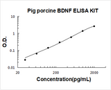Pig porcine BDNF ELISA Kit PicoKine® Boster Bio