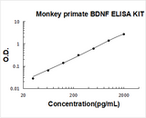 Monkey primate BDNF ELISA Kit PicoKine® Boster Bio