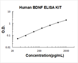 Human BDNF ELISA Kit PicoKine® Boster Bio