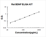 Rat BDNF ELISA Kit PicoKine® Boster Bio