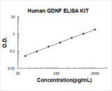 Human GDNF / Glial Derived Neurotrophic Factor ELISA Kit PicoKine® Boster Bio