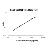 Rat GDNF PicoKine® Quick ELISA Kit Boster Bio