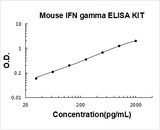 Mouse IFN Gamma / IFNG / Interferon gamma ELISA Kit PicoKine® Boster Bio