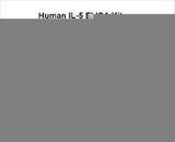 Human IL-5/Interleukin-5 ELISA Kit PicoKine® Boster Bio