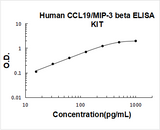 Human CCL19/MIP-3 Beta ELISA Kit PicoKine® Boster Bio