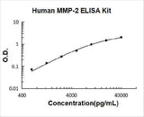 Human MMP-2 ELISA Kit PicoKine® Boster Bio