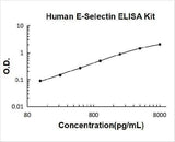 Human sE-Selectin / CD62E ELISA Kit PicoKine® Boster Bio