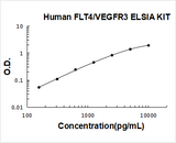 Human FLT4/VEGFR3 ELISA Kit PicoKine® Boster Bio