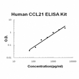 Human CCL21/6Ckine ELISA Kit EZ-Set™ (DIY Antibody Pairs) Boster Bio